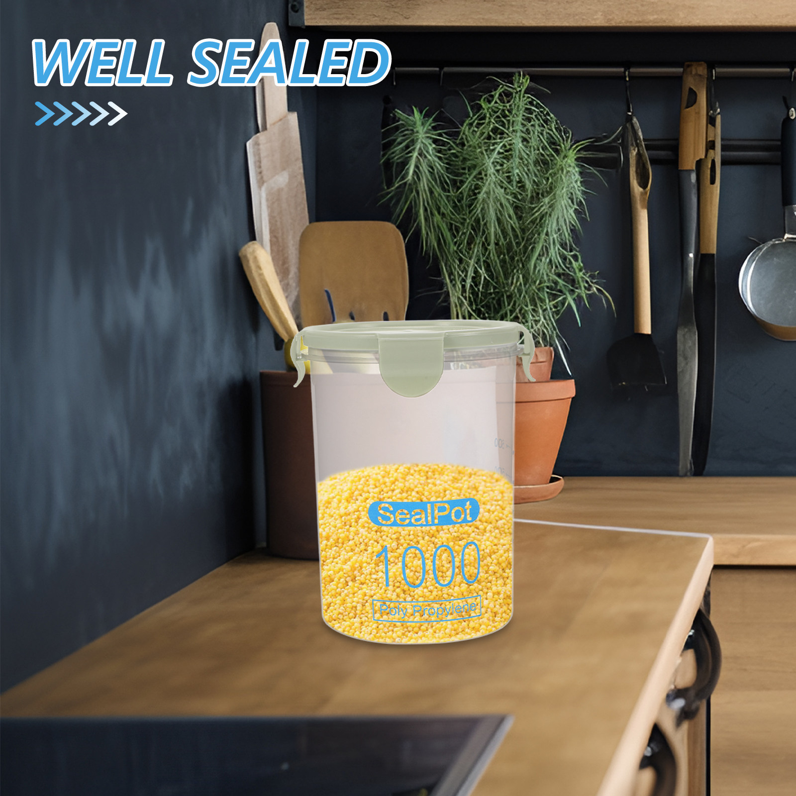 Premium Transparent Polypropyl - Meal Prep Pasta recensie en prijs